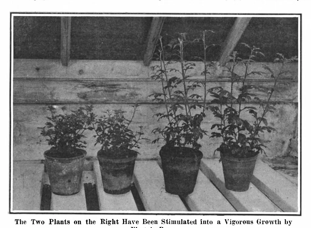 An illustration from Scientific American, Vol. 97, No. 16 (1907), 1907, leaf 10