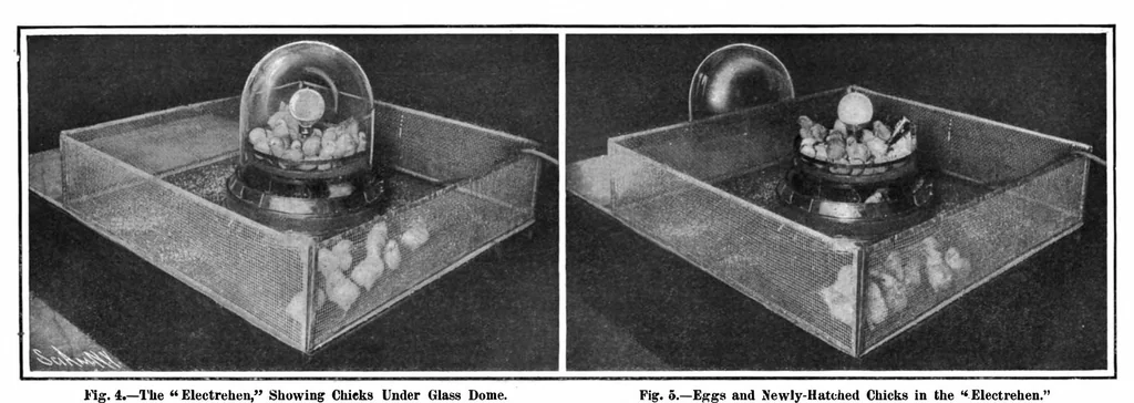 An illustration from Scientific American, Vol. 97, No. 19 (1907), 1907, leaf 21