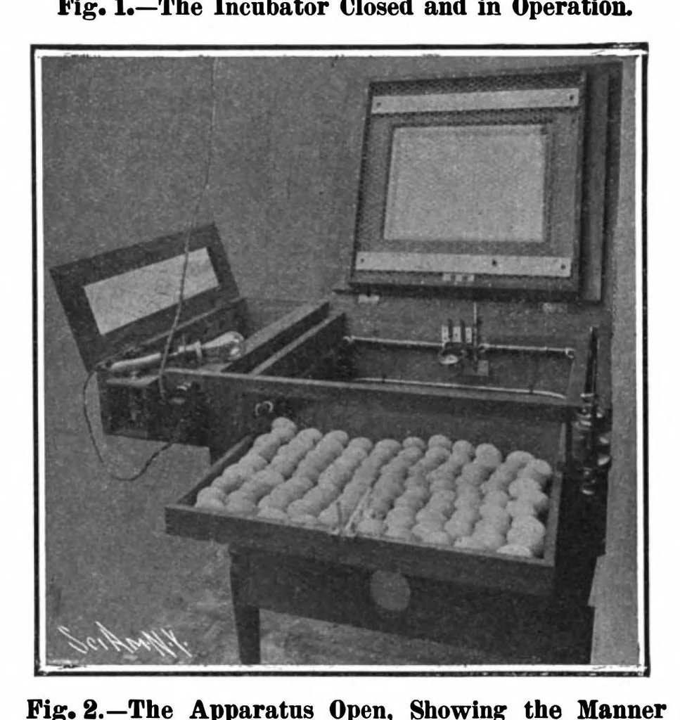An illustration from Scientific American, Vol. 97, No. 19 (1907), 1907, leaf 21