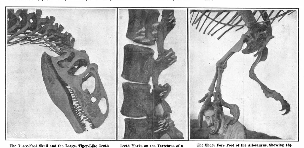 An illustration from Scientific American, Vol. 97, No. 24 (1907), 1907, leaf 9