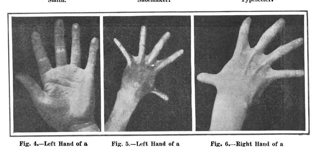 An illustration from Scientific American, Vol. 97, No. 26 (1907), 1907, leaf 9