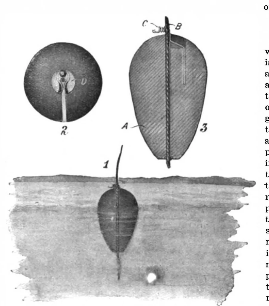 An illustration from Scientific American, Vol. 98, No. 8 (February 22, 1908), 1908, leaf 10