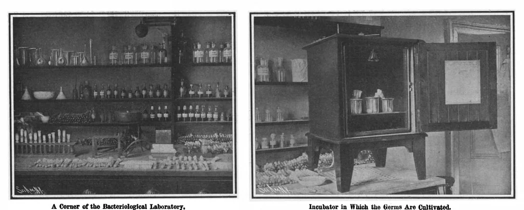 An illustration from Scientific American, Vol. 99, No. 7 (August 15, 1908), 1908, leaf 3