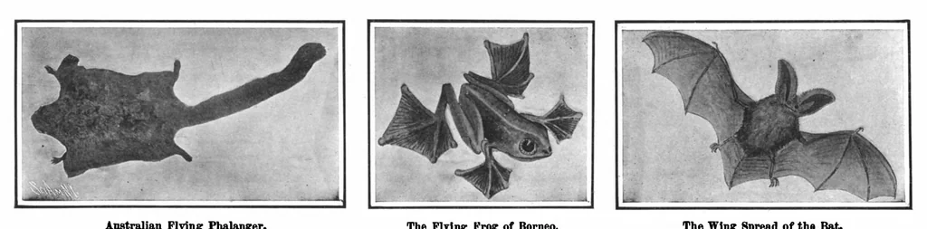 An illustration from Scientific American, Vol. 98, No. 9 (1908), 1908, leaf 6