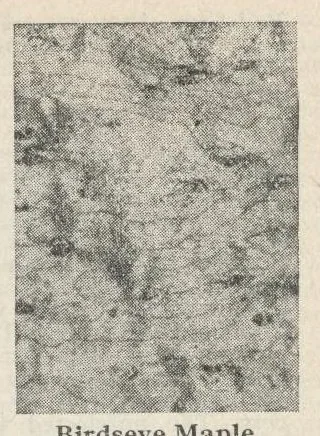 An illustration from The Seng book : 1930 annual / published by the Seng Company., 1930, leaf 85