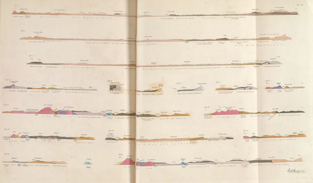 An illustration from The Silurian system, founded on geological researches in the counties of Salop, Hereford, Radnor, Montgomery, Caermarthen, Brecon, Pembroke, Monmouth, Gloucester, Worcester, and Stafford : with descriptions of the coalfields and overlying formations, 1839, leaf 265