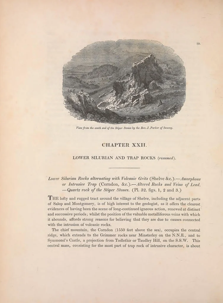 An illustration from The Silurian system, founded on geological researches in the counties of Salop, Hereford, Radnor, Montgomery, Caermarthen, Brecon, Pembroke, Monmouth, Gloucester, Worcester, and Stafford : with descriptions of the coalfields and overlying formations, 1839, leaf 322