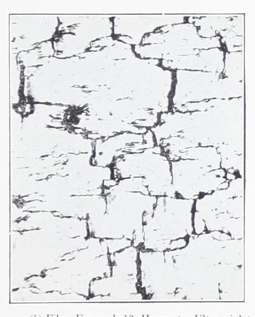 An illustration from Some physical properties of paint, varnish and nitro-cellulose lacquer films / by Harley A. Nelson and George W. Rundle., 1930, leaf 18