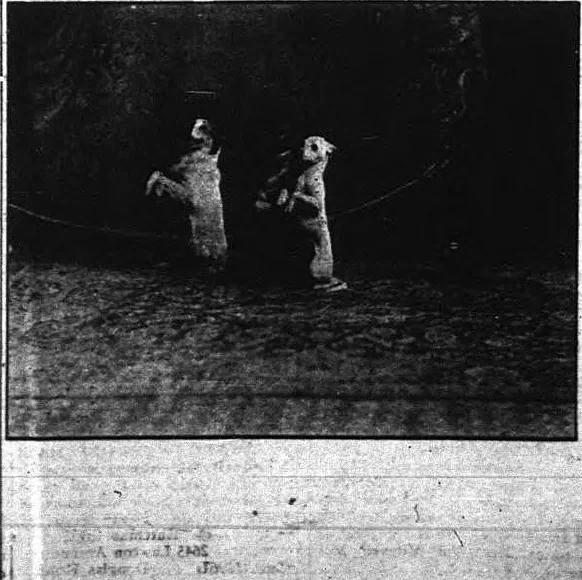 An illustration from St. Louis Argus: July 9, 1915, 1915, leaf 3