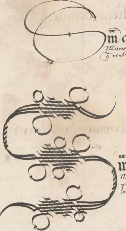 An illustration from Survey of Ralph Sadler estate, 1608, leaf 243
