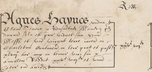 An illustration from Survey of Ralph Sadler estate, 1608, leaf 29
