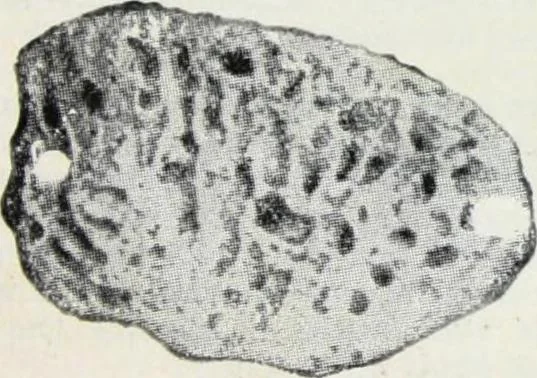 An illustration from The Alabastine Stencil Catalog, 1920, leaf 19