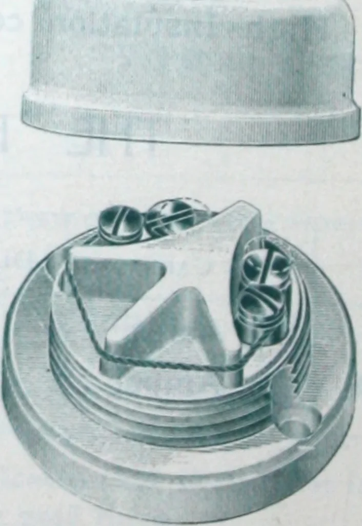 An illustration from The British Electric Works Co., Ltd., 1900, leaf 5