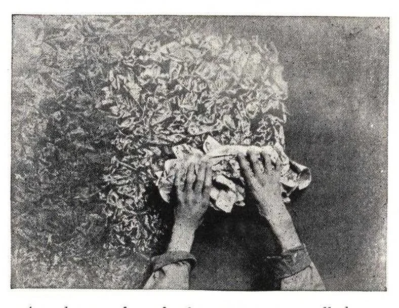An illustration from The guide book of painting and varnishing., 1929, leaf 41