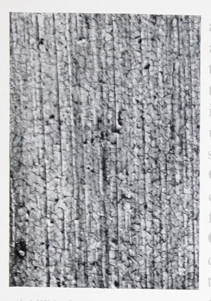 An illustration from The home of Picher sublimed white lead., 1915, leaf 16