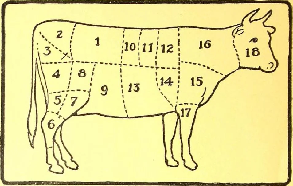 An illustration from The Household Helper and Catalogue of Florence Automatic Oil Stoves : Recipes & Practical Suggestions for the Home, 1920, leaf 27