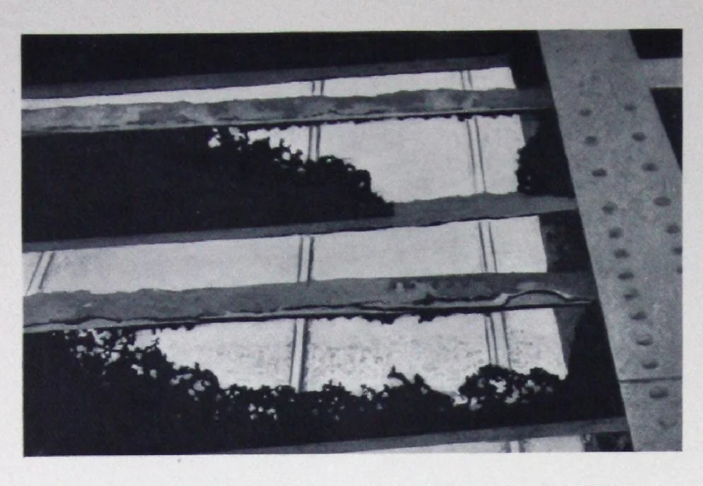 An illustration from Steel preservative paints : prevent corrosion induced by acids, alkalis, moisture and other rust-producing agencies., 1926, leaf 8