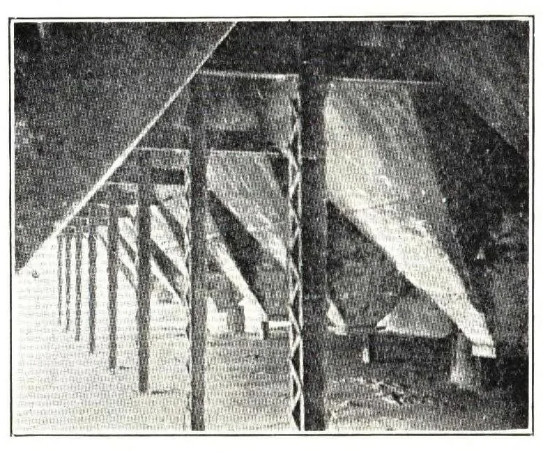 An illustration from The materials of paint manufacture., 1910, leaf 37