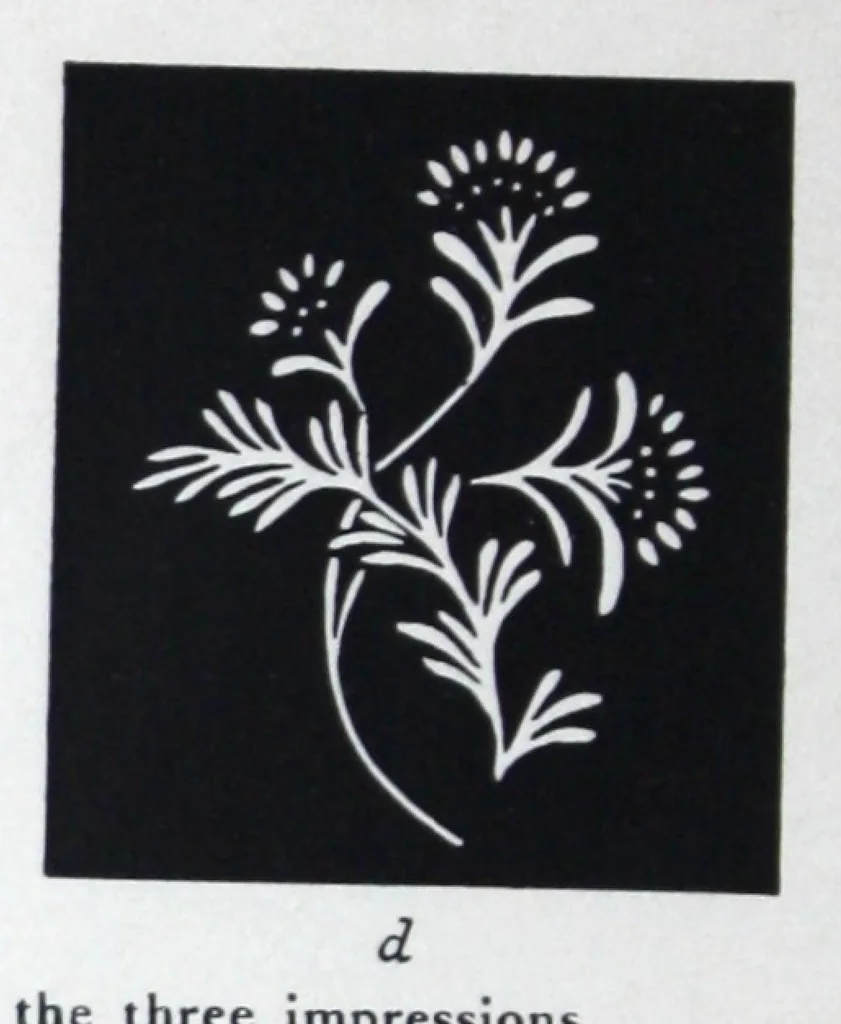 An illustration from The mutochrome for the production of colour designs., 1927, leaf 11