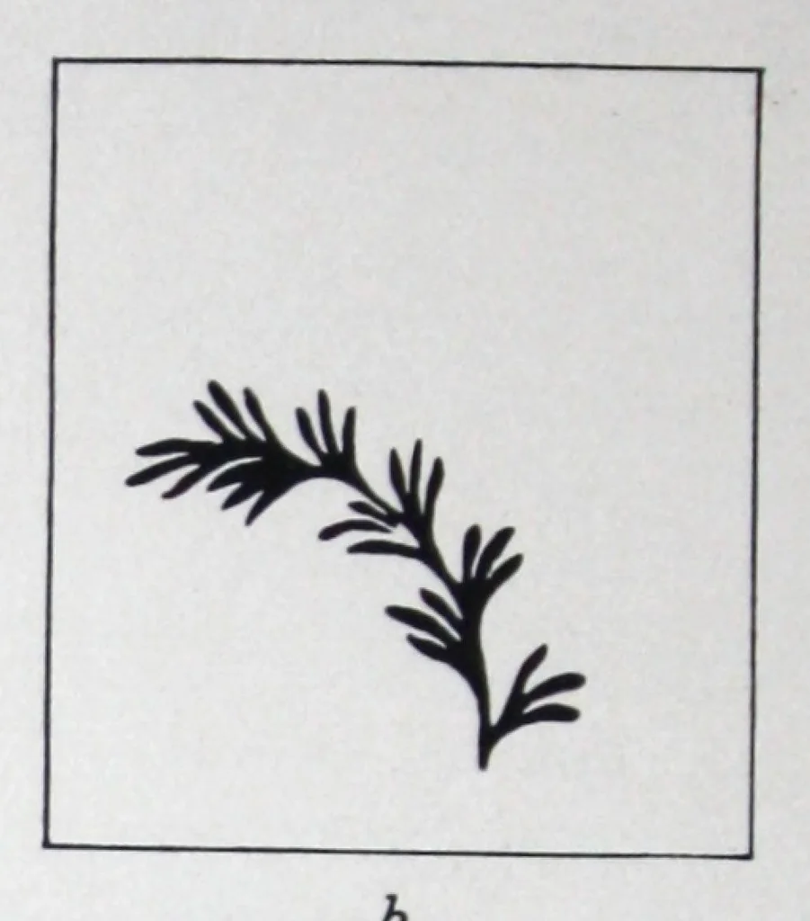 An illustration from The mutochrome for the production of colour designs., 1927, leaf 11