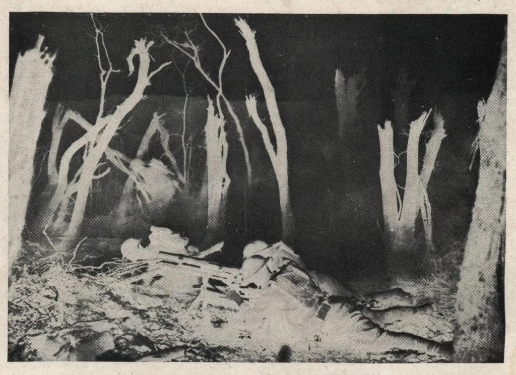 An illustration from The painter's eagle: volume 12, number 2., 1930, leaf 23