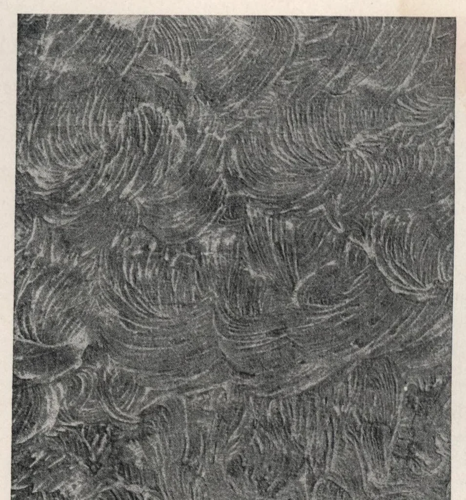 An illustration from The painter's eagle: volume 6, number 1., 1928, leaf 17