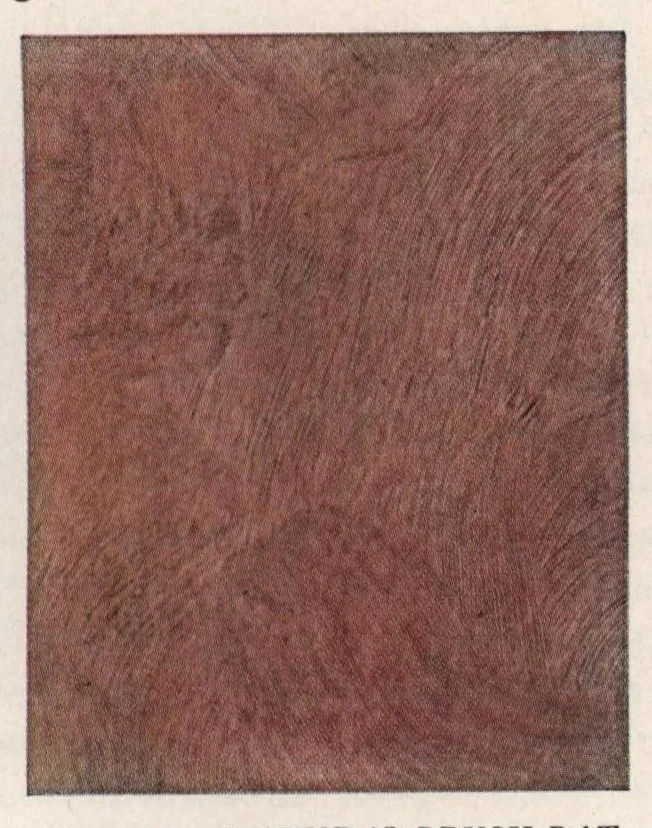 An illustration from The painter's eagle: volume 6, number 1., 1928, leaf 18