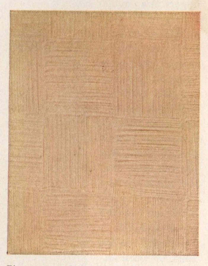 An illustration from The painter's eagle: volume 6, number 1., 1928, leaf 19