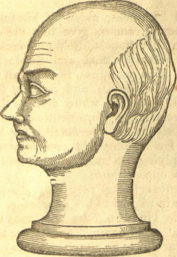 An illustration from The phrenological characters and talents of Henry Clay, Daniel Webster, John Quincy Adams, Wlliam Henry Harrison, and Andrew Jackson : as given by the most distinguished phrenologists in the United States, also notes on the same, with a brief analysis of the fundamental powers of the human mind as manifested through the brain, 1844, leaf 18