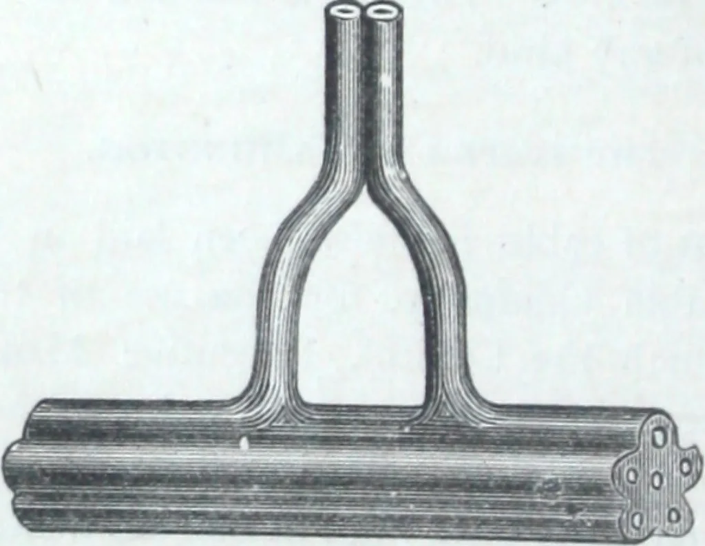 An illustration from The Standard Underground Cable Company manufacturers of telegraph, telephone and electric light cables ..., 1884, leaf 9