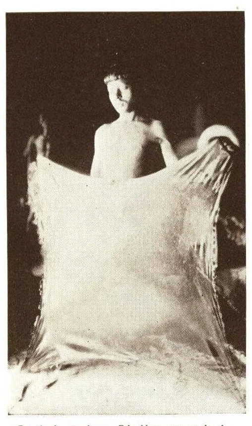 An illustration from The story of shellac., 1928, leaf 10