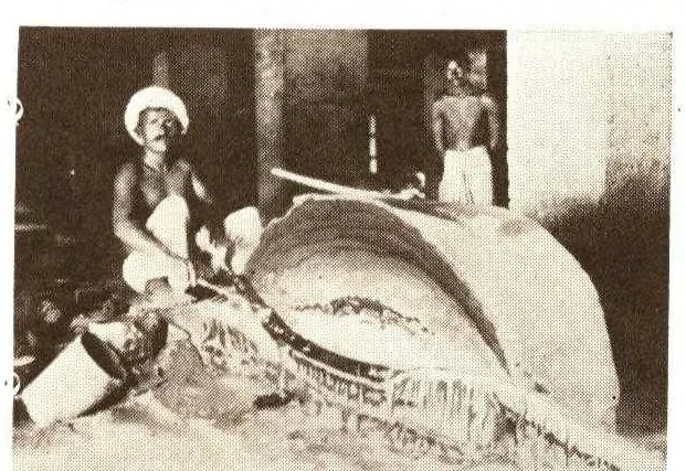 An illustration from The story of shellac., 1928, leaf 8