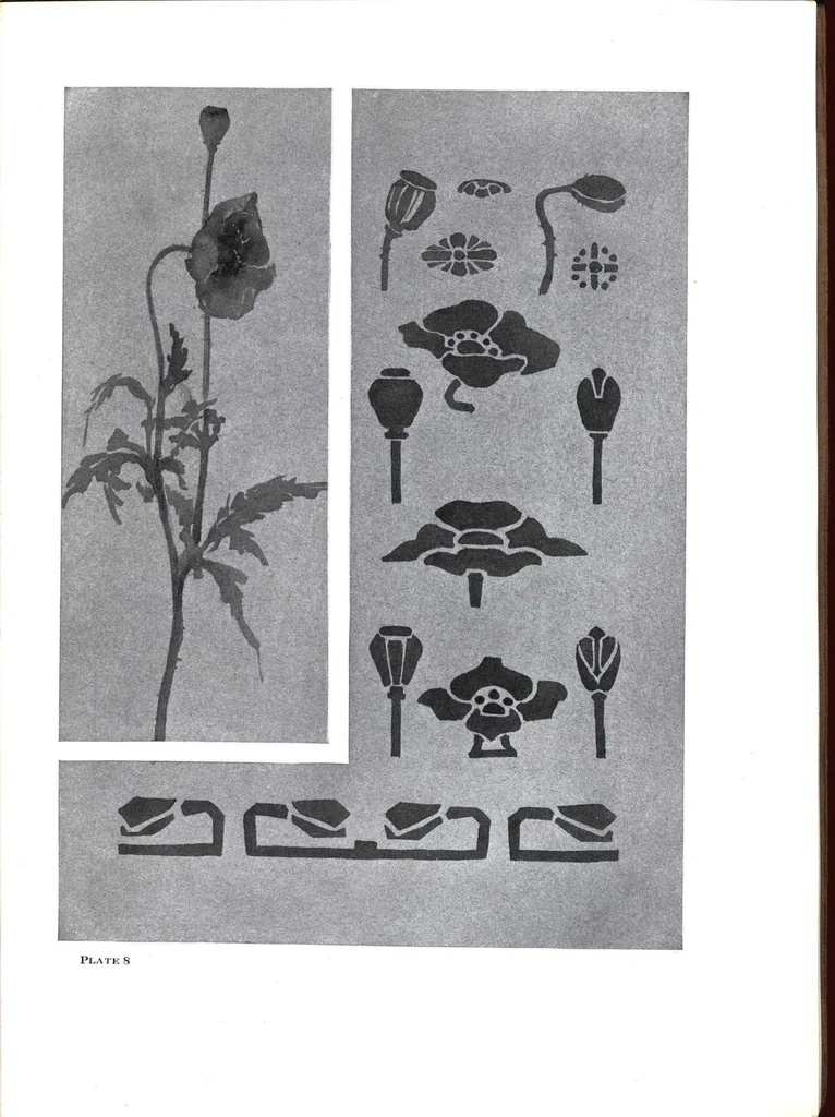 An illustration from The use of the plant in decorative designs., 1912, leaf 18