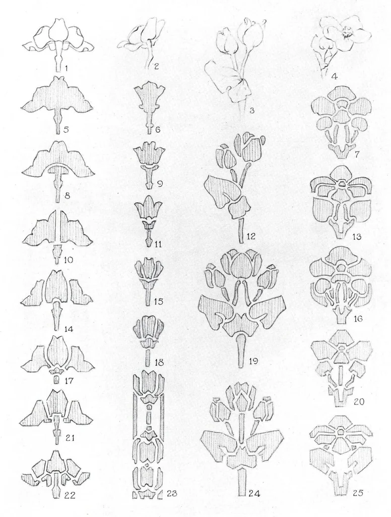An illustration from The use of the plant in decorative designs., 1912, leaf 26