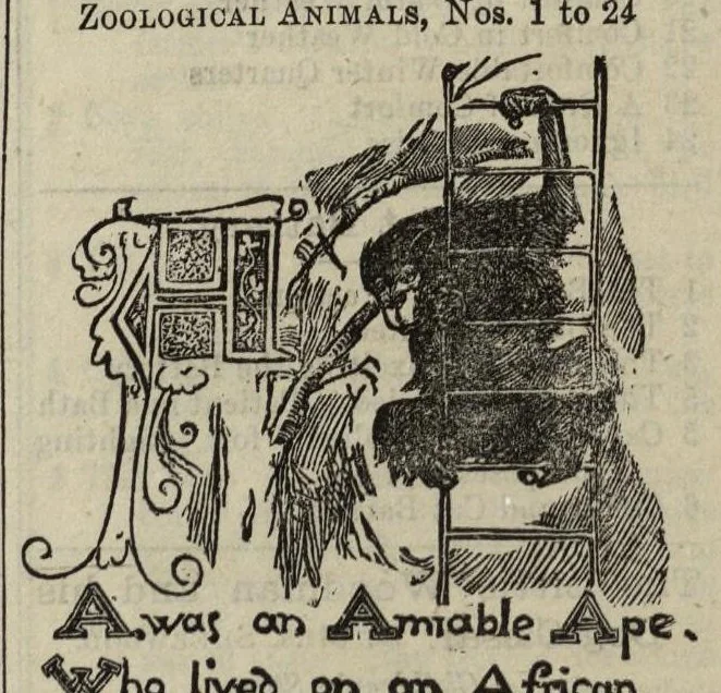 An illustration from J. Theobald and Company's extra special illustrated catalogue of magic lanterns, slides and apparatus (From the smallest Toy Lanterns and Slides to the most elaborate Professional Apparatus (c. 1900), 1900, leaf 213
