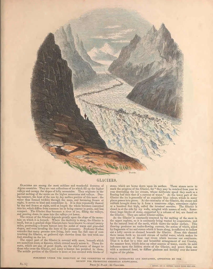 An illustration from Thirty plates illustrative of natural phenomena, etc. : with a short description annexed to each plate, 1846, leaf 15