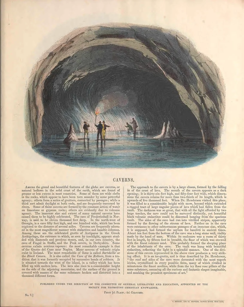 An illustration from Thirty plates illustrative of natural phenomena, etc. : with a short description annexed to each plate, 1846, leaf 19