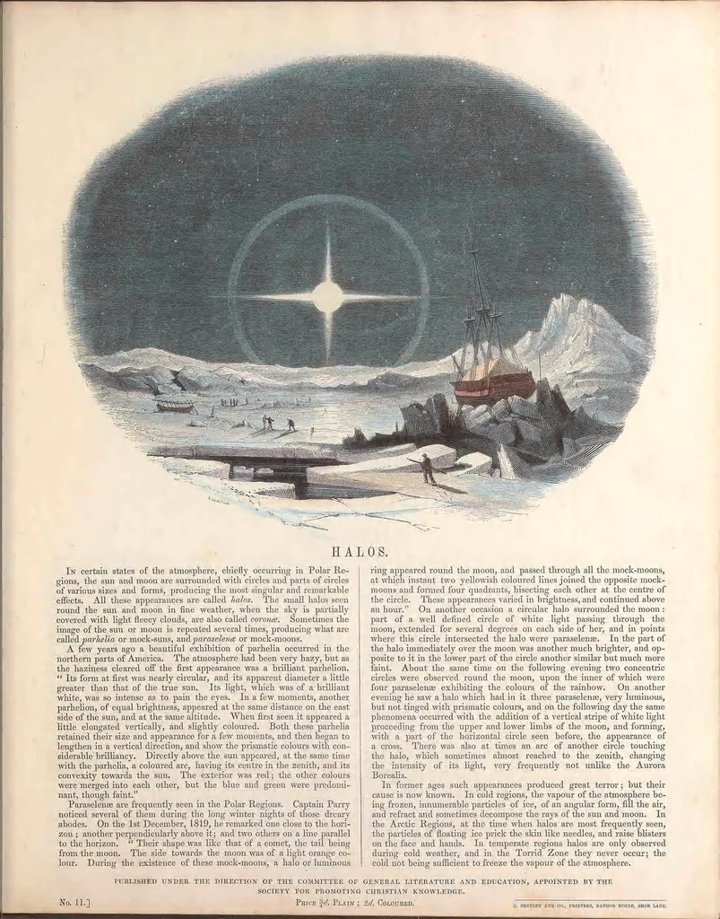 An illustration from Thirty plates illustrative of natural phenomena, etc. : with a short description annexed to each plate, 1846, leaf 27