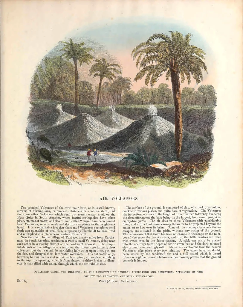 An illustration from Thirty plates illustrative of natural phenomena, etc. : with a short description annexed to each plate, 1846, leaf 41