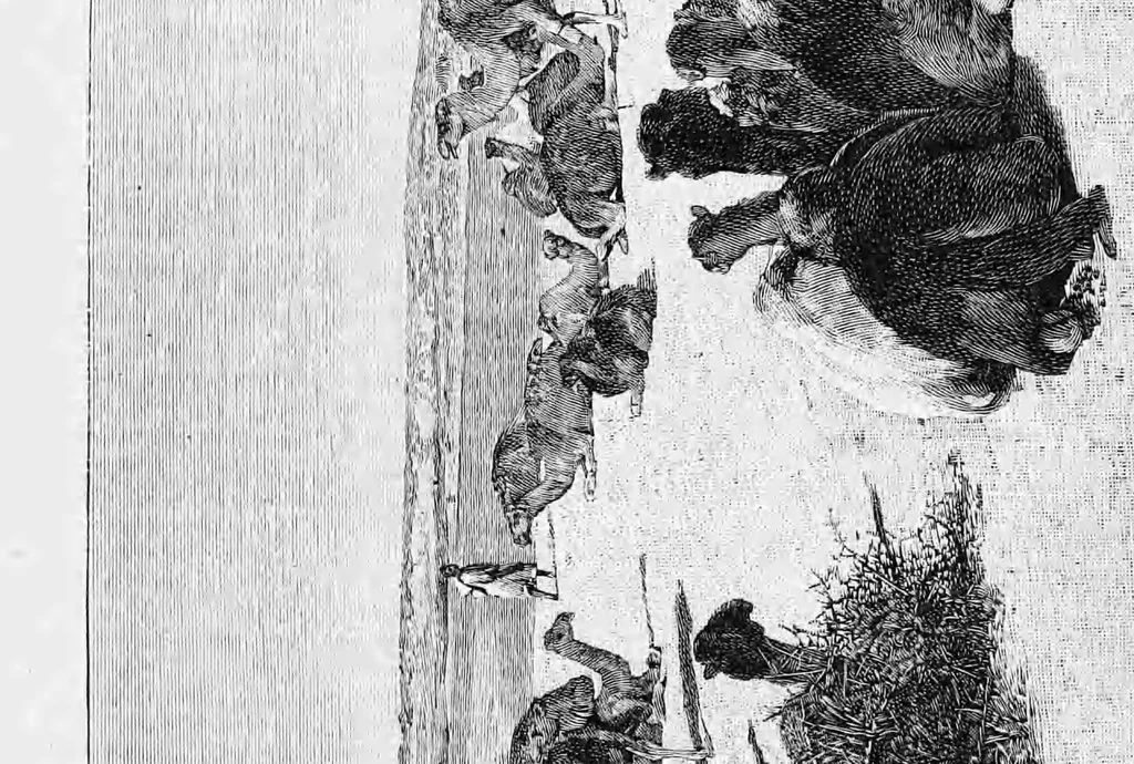 An illustration from Tombouctou la mystérieuse, 1897, leaf 308