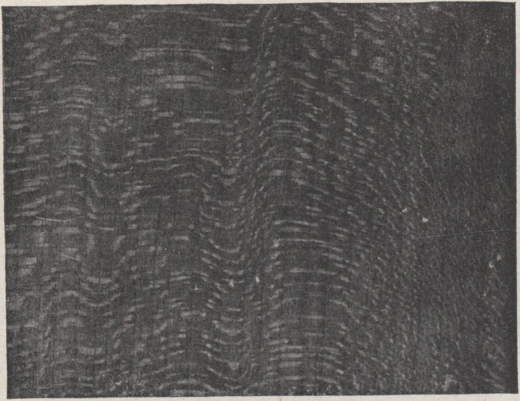 An illustration from Construction of dwelling houses and bungalows, 1913, leaf 8