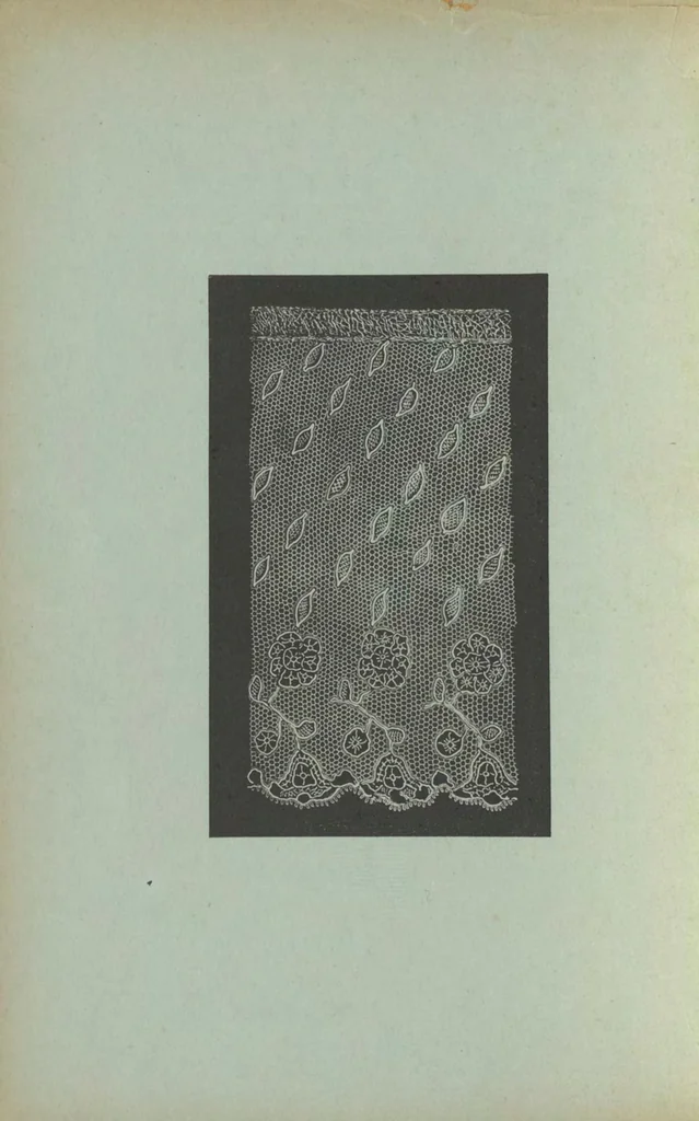 An illustration from A technical history of the manufacture of Venetian lace ..., 1888, leaf 49