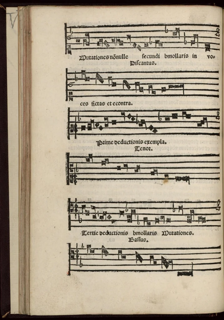 An illustration from Enchiridion musices Nicolai Wollici Barroducensis de gregoriana et figurativa atque contrapuncto simplici percommode tractans, omnibus cantu oblectantibus, perutile et necessarium., 1512, leaf 47