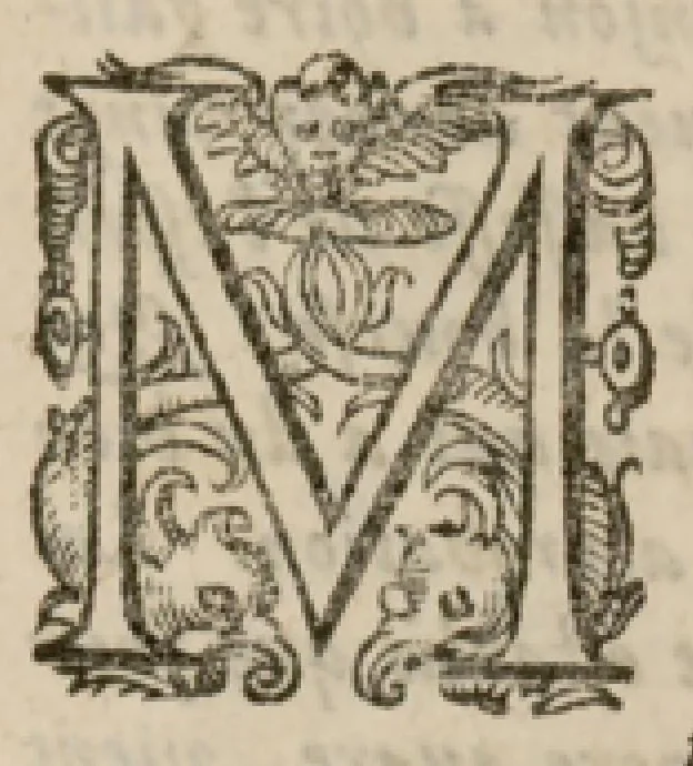 An illustration from V. Livre des libertez d'André de Rosiers sieur de Beaulieu., 1654, leaf 8