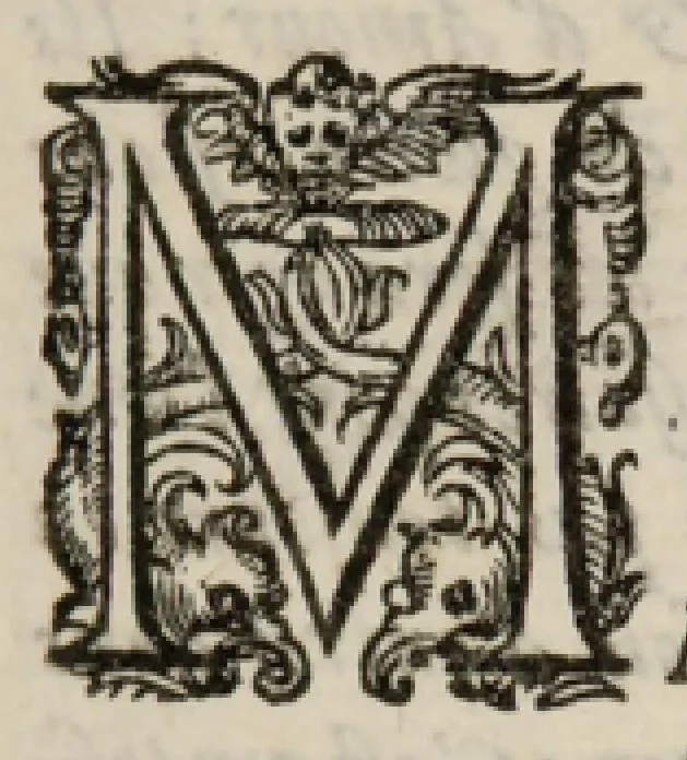 An illustration from VII. Livre des libertez d'André de Rosiers sieur de Beaulieu., 1657, leaf 8