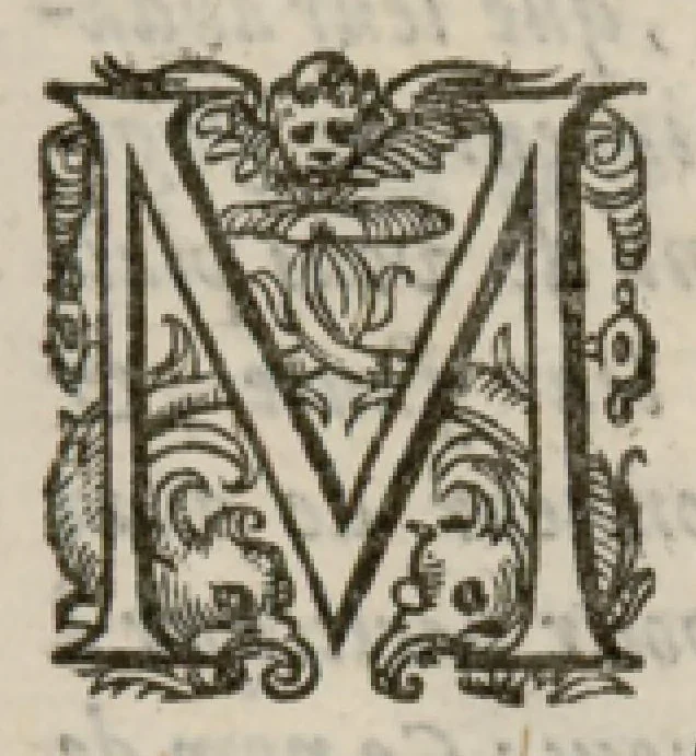 An illustration from VIII. Livre des libertez d'André de Rosiers sieur de Beaulieu., 1658, leaf 8