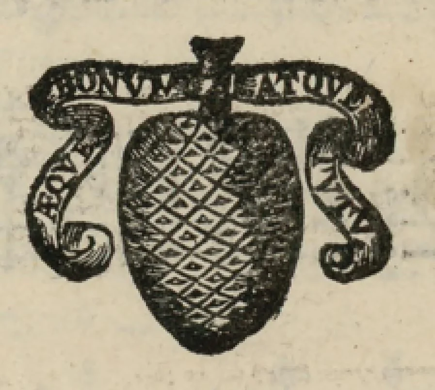 An illustration from Basso continuo. Harmonia d'affetti devoti a due, tre, e quatro voci consagrata all'altezza serenissima del signor prencipe Alessandro Farnesi di Parma, da Giovanni Legrenzi, primo organista di S. Maria Maggiore di Bergamo et accademico eccitato. Libro primo, opera terza., 1655, leaf 45