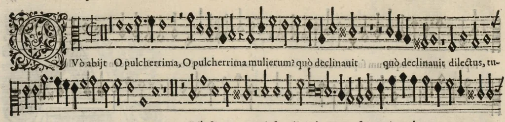 An illustration from Meslanges de la musique de Clau. Le Jeune a 4. 5. 6. 8. & 10. parties. Tenor, 1587, leaf 113