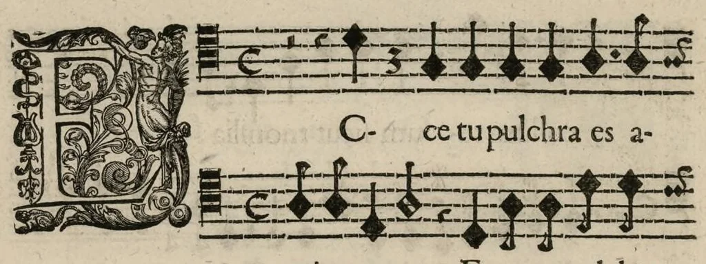 An illustration from Aeternae Henrici magni, gallorum, navarrorumque Regis potentissimi, ac Clementissimi memoriae. Et Ludovici justi : eius filii. Gallorum, navarrorumque Regis christianissimi, atque inuictissimi. Nicolaus Formé, regiae musicae praefectus. Missam hanc duobus choris ac quatuor voc. compositam, vovet et consecrat. Primus chorus. Bassus., 1638, leaf 21
