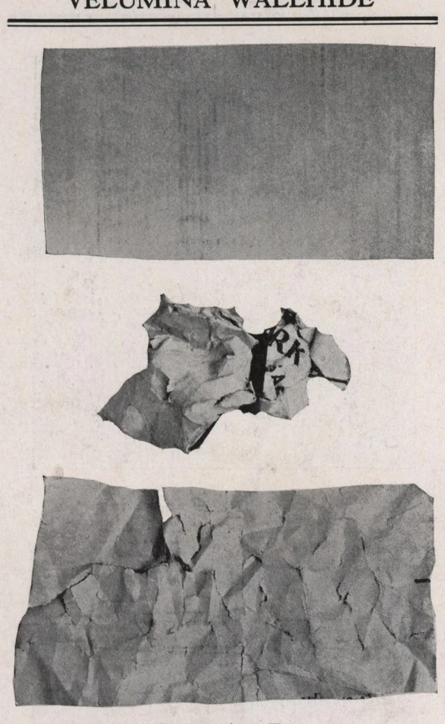 An illustration from Velumina wallhide and its application., 1929, leaf 5